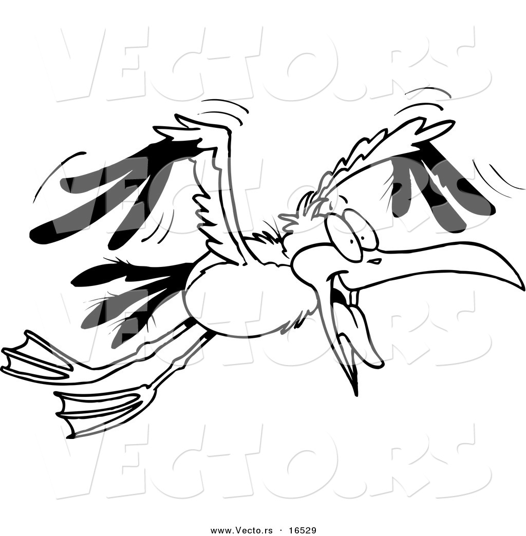 free clip art seagull cartoon - photo #50