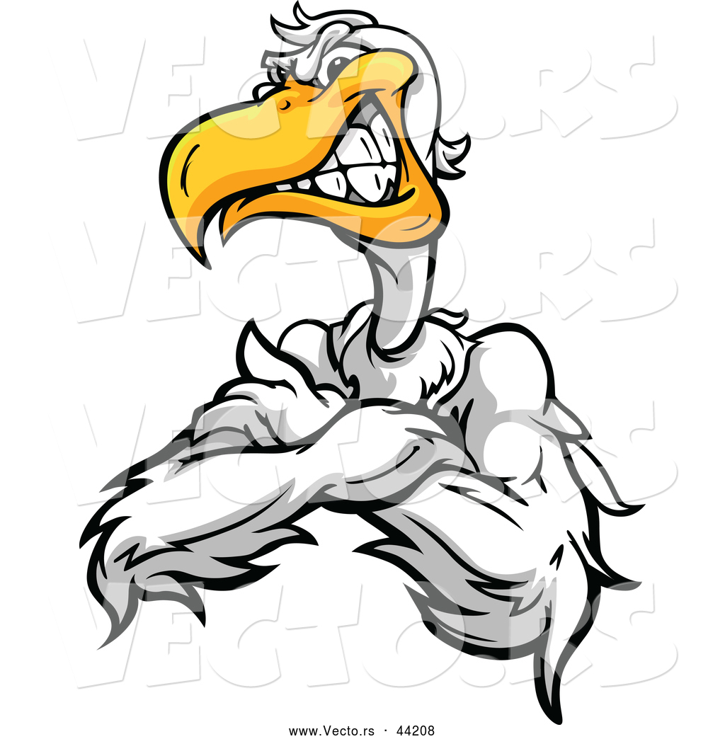 clipart cartoon pelicans - photo #30