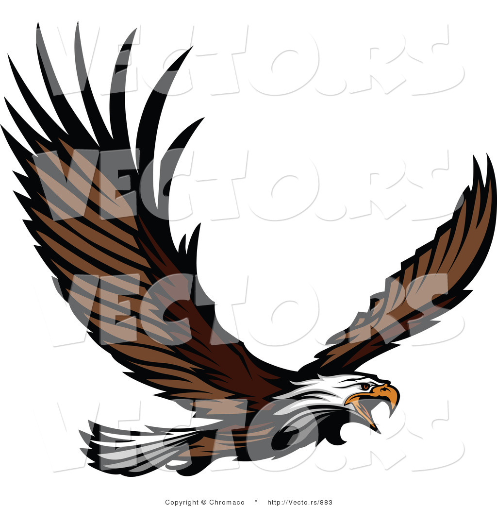 Vector Bald Eagle