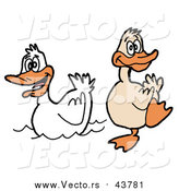 Cartoon Vector of a Brown Duck Waddling on Land Beside a White Duck on Water by LaffToon
