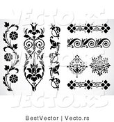 Vector of 8 Unique Floral Edges and Borders - Decorative Web Design Elements by BestVector