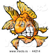 Vector of a Cartoon Fighter Goldfish with Teeth by Chromaco