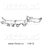 Vector of a Cartoon Long Wiener Dog Using Training Wheels - Coloring Page Outline by Toonaday