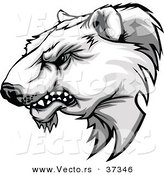 Vector of a Competitive Cartoon Polar Bear Mascot Growling by Chromaco