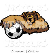Vector of a Competitive Soccer Bear Mascot Gripping Ball with Paw by Chromaco