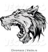 Vector of a Defensive Gray Wolf Attacking by Chromaco