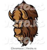 Vector of a Dominant Cartoon Buffalo Mascot with Intimidating Eyes Preparing to Charge by Chromaco