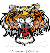 Vector of a Dominant Tiger Growling - Cartoon Mascot Design by Chromaco