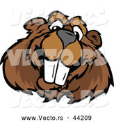 Vector of a Happy Cartoon Beaver Mascot Smiling by Chromaco