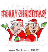 Vector of a Happy Cartoon Pig Couple Wearing Santa Outfits While Celebrating Merry Christmas by LaffToon