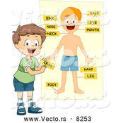 Vector of a Happy School Boy Tagging Human Body Parts on a Chart by BNP Design Studio