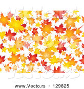 Vector of Background of Orange, Red and Yellow Maple Leaves Falling over White by KJ Pargeter