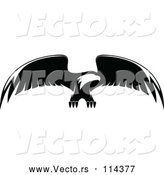 Vector of Bald Eagle Flying - Black and White by Vector Tradition SM