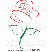 Vector of Beautiful Single Red Rose 1 by Vitmary Rodriguez