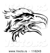 Vector of Black and White Eagle Head in Profile by AtStockIllustration
