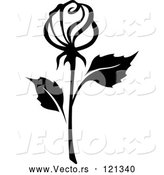 Vector of Black and White Rose Flower 15 by Vector Tradition SM