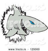 Vector of Blue Eyed Shark Crashing Through a Wall by Dennis Holmes Designs