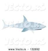 Vector of Bull Shark Swimming by Rasmussen Images