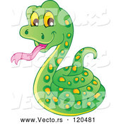 Vector of Cartoon Coiled Green Snake by Visekart