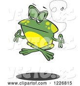 Vector of Cartoon Floating Meditating Frog and Fly by Toonaday