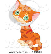Vector of Cartoon Ginger Kitten Wearing a Cone Elizabethan Collar by Pushkin