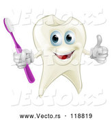 Vector of Cartoon Smiling Happy Tooth Mascot Holding a Thumb up and Toothbrush by AtStockIllustration