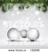 Vector of Christmas Background of 3d Silver Baubles with Snowflakes and Tree Branches by KJ Pargeter