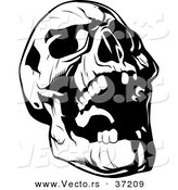 Vector of Evil Skull Laughing - Black and White Line Art by Lawrence Christmas Illustration
