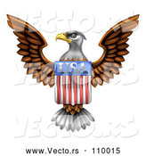 Vector of Flying American Bald Eagle with a USA Flag Shield by AtStockIllustration