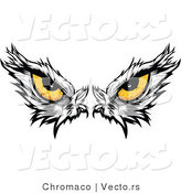 Vector of Intimidating Eyes of a Dominant American Bald Eagle by Chromaco