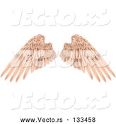 Vector of Pink Brown Angel Wings by AtStockIllustration
