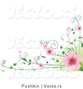 Vector of Pink Cherry Blossoms on Vines over Green and White Background Border Design by Pushkin