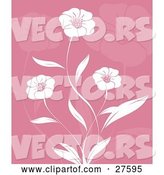 Vector of Three Beautiful White Flowers and Leaves over a Pink Background with Faded Flowers by KJ Pargeter