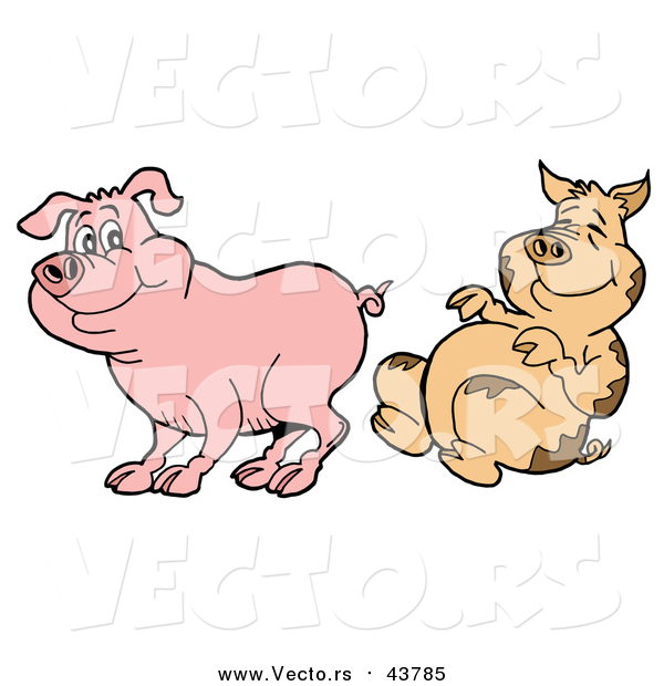 Cartoon Vector of a Dirty Pig Laughing at Undirty Pig