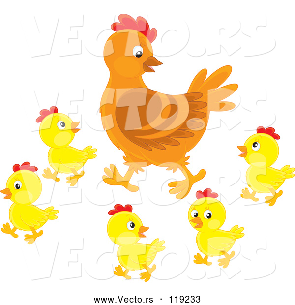 Cartoon Vector of Mother Hen and Baby Chicks