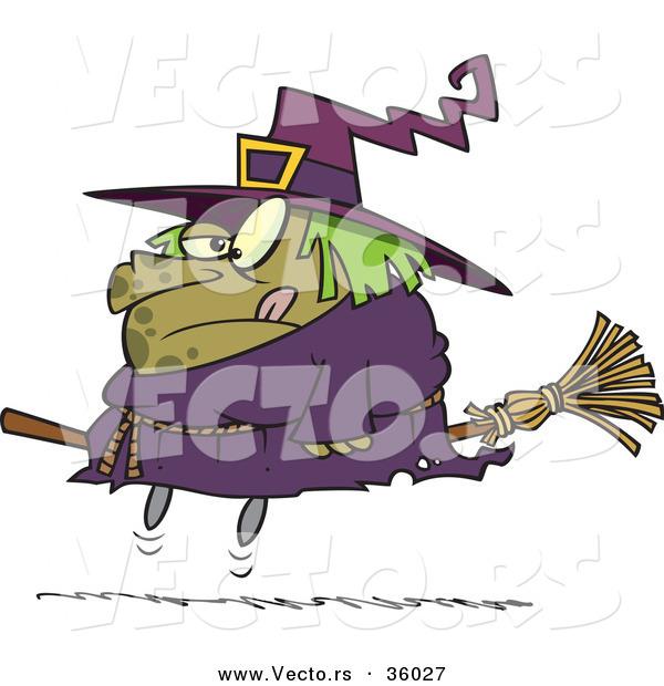 Halloween Cartoon Vector of a Obese Witch Riding Broomstick