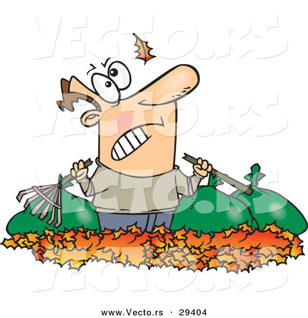 Vector of a Angry Cartoon Man Watching Another Leaf Fall on His Piles and Bags of Raked Autumn Leafs