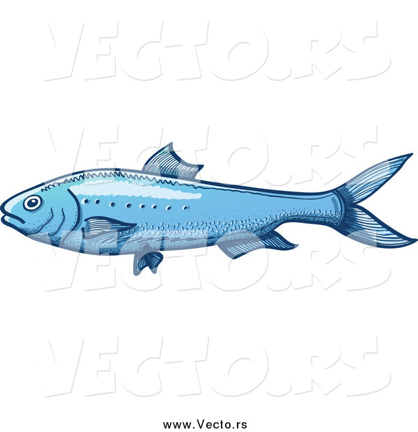Vector of a Blue Sardine Fish
