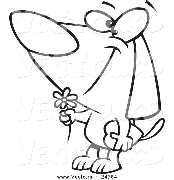 Vector of a Cartoon Black and White Outline Courting Valentines Day Dog with a Flower and Candy Box - Outlined Coloring Page