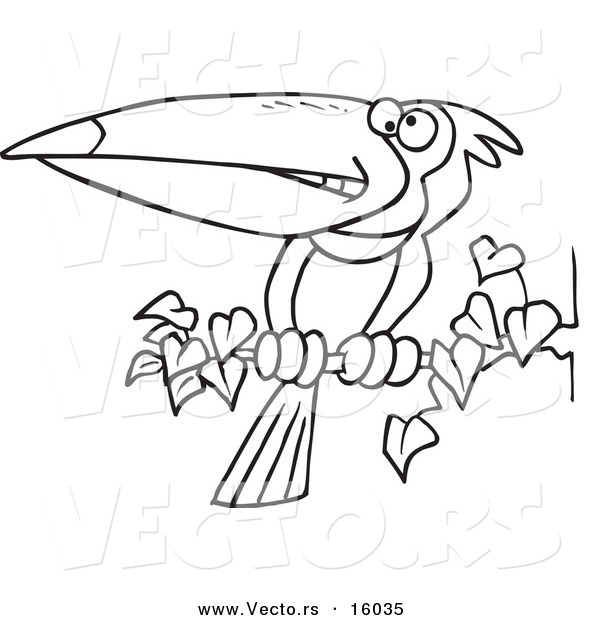 Vector of a Cartoon Exotic Toucan Perched on a Branch - Outlined Coloring Page Drawing