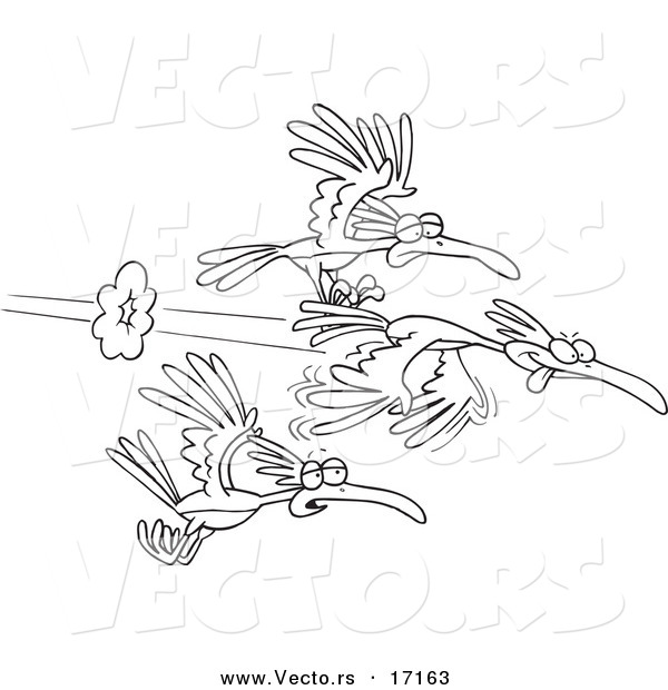 Vector of a Cartoon Group of Fast Birds - Coloring Page Outline