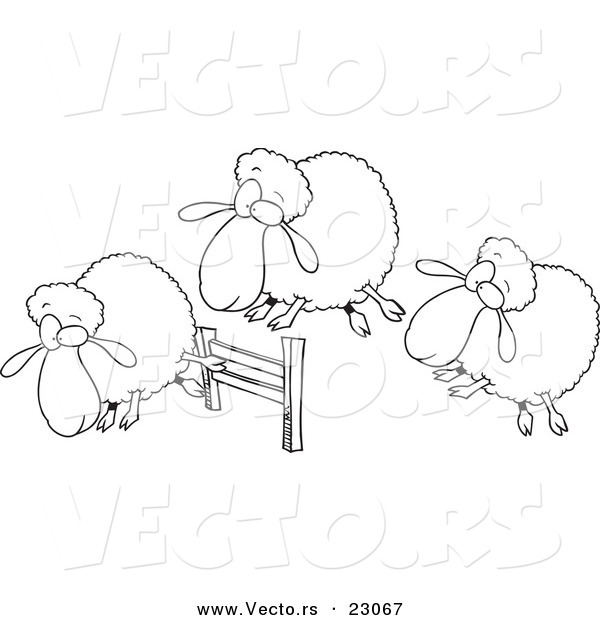 Vector of a Cartoon Herd of Sheep Leaping a Fence - Coloring Page Outline