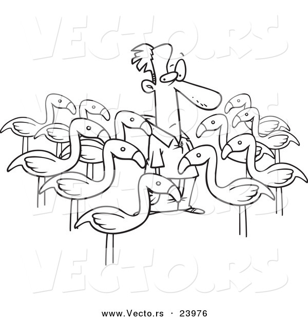 Vector of a Cartoon Yard Flamingos Surrounding a Man - Coloring Page Outline