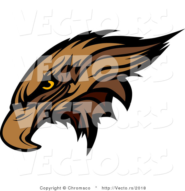Vector of a Golden Eagle Head