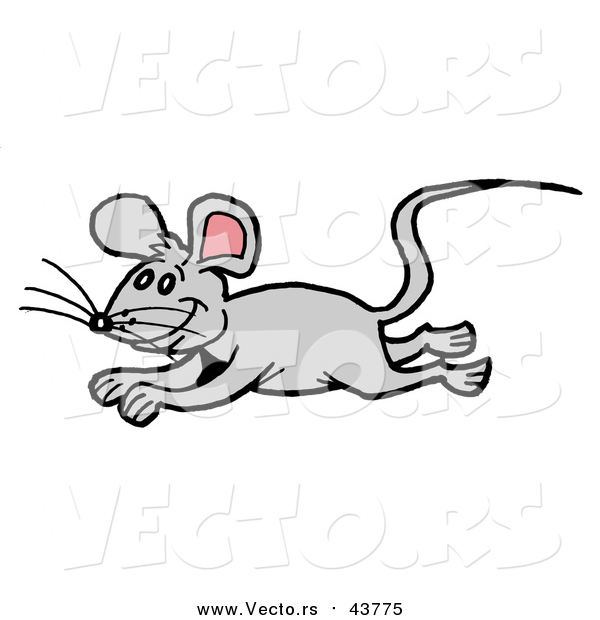 Vector of a Gray Mouse Running and Leaping