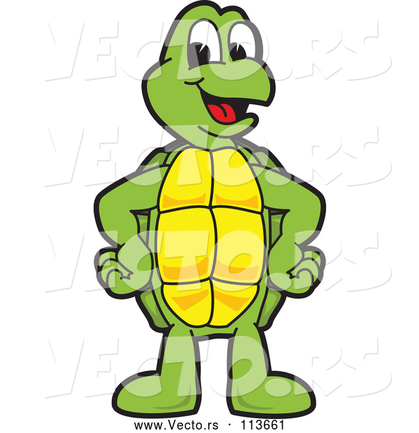 Vector of a Happy Cartoon Turtle School Mascot Character