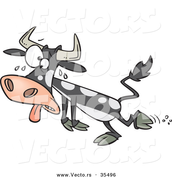 Vector of a Hot Cartoon Cow Falling Towards the Ground While Sweating with His Tongue out and Crossed Eyes