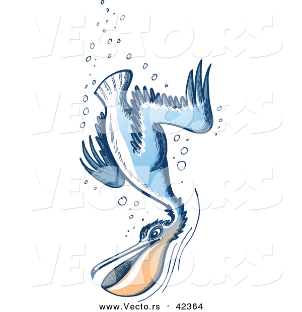 Vector of a Pelican Diving Underwater