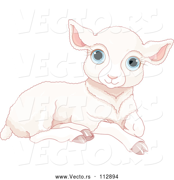 Vector of a Resting White Sheep Lamb with Blue Eyes