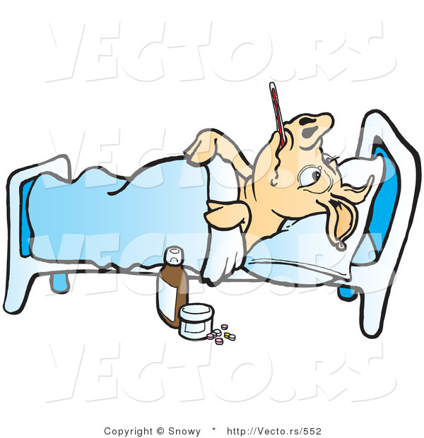 Vector of a Sick Cartoon Pig in a Hospital Bed